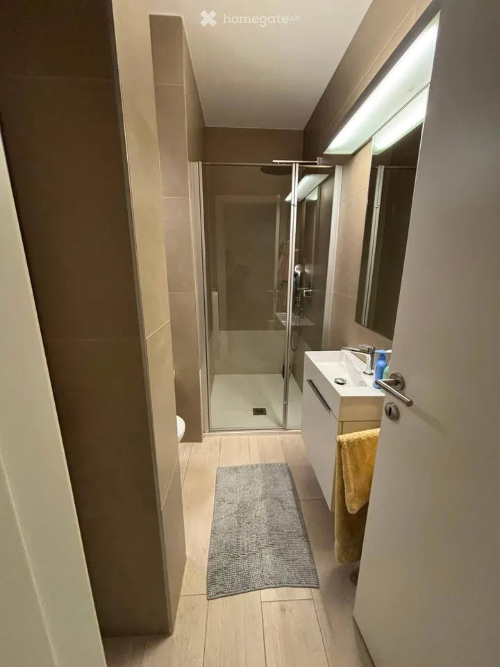 Wohnung 3.5 in Molino Nuovo
