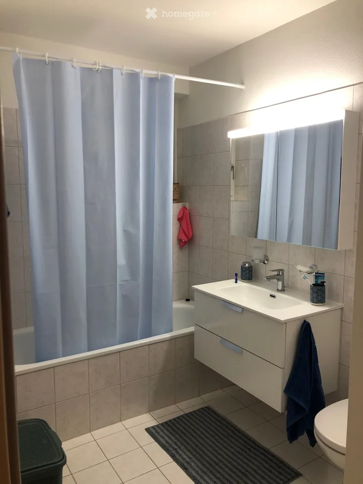 Wunderschöne 2.5 / Stupendo appartamento 2.5 a San Nazzaro