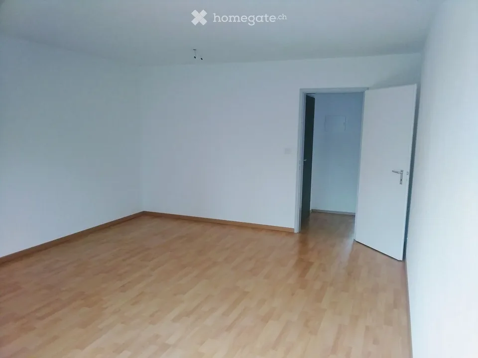 Helle, ruhige  Wohnung mit gr. Balkon an bester Lage