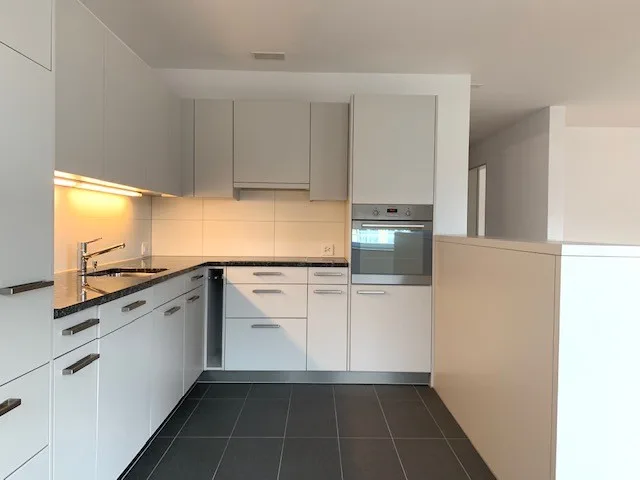 Spacious new building apartment with beautiful loggia
