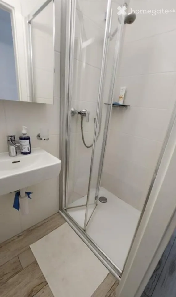 Grande appartamento mansardato arredato con 4,5 locali, 154m2 e terrazza