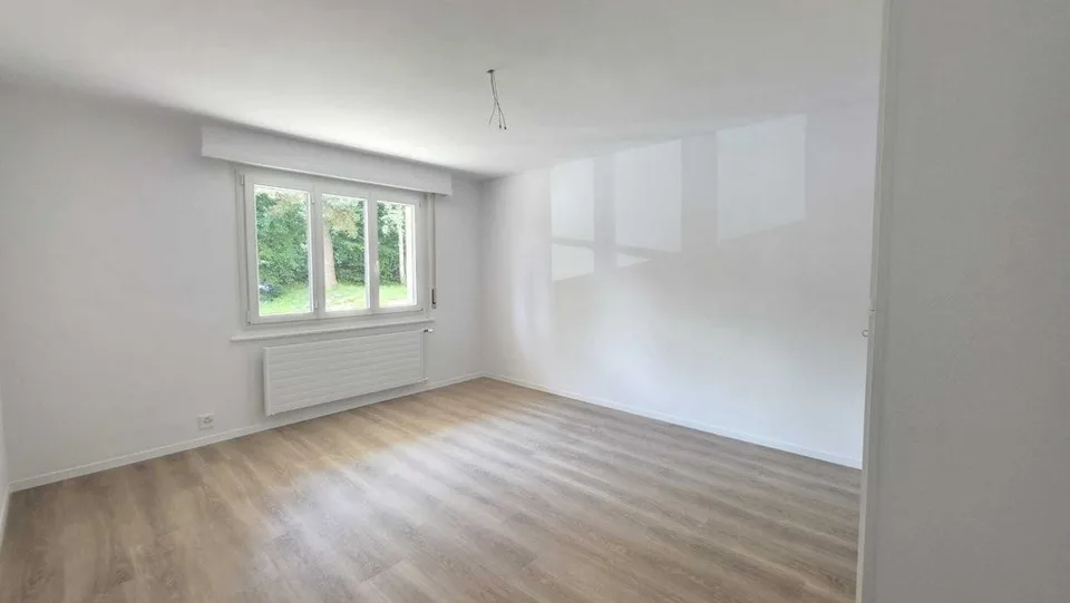 Schönes renoviertes Apartment