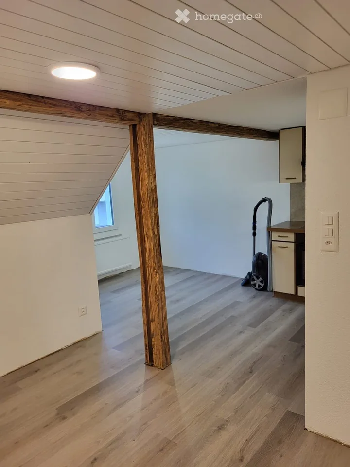 2.5 ZH-Wohnung