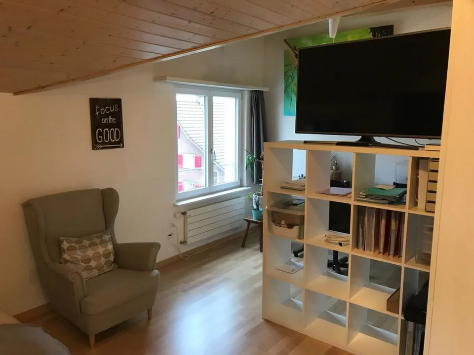 Appartement mansardé moderne et individuel