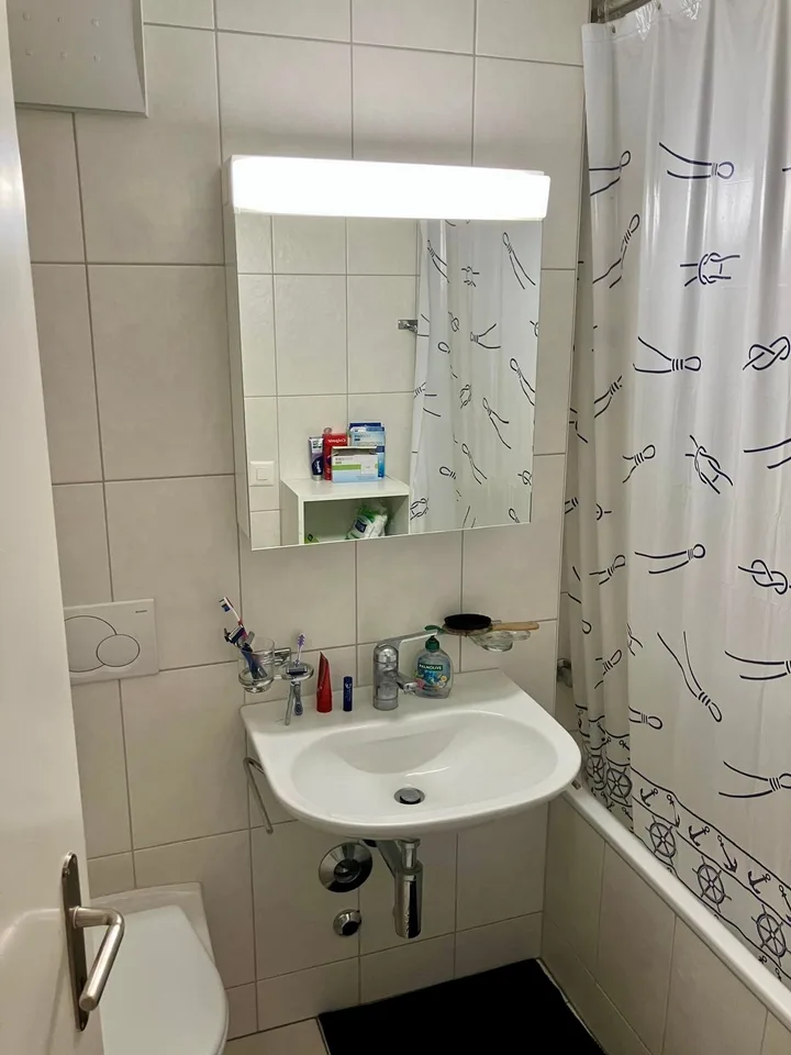 3-Zimmer-Dachwohnung mit Balkon in Binningen