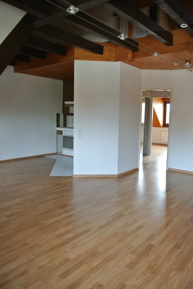 Maisonette-Dachwohnung bei Birs mit Sicht zum Rhein