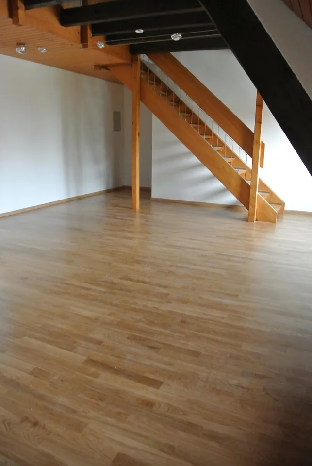 Maisonette-Dachwohnung bei Birs mit Sicht zum Rhein