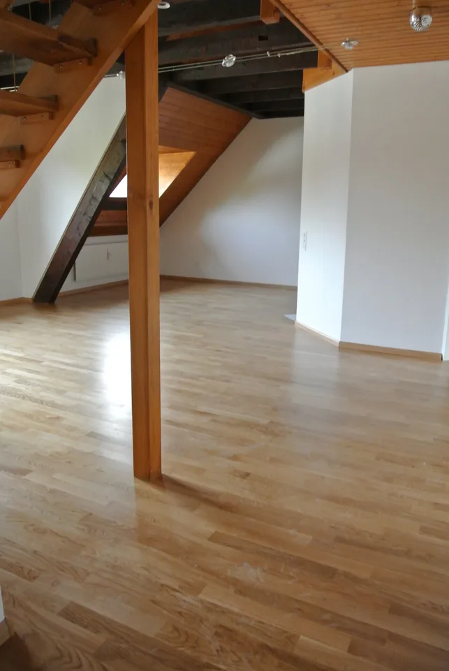 Maisonette-Dachwohnung bei Birs mit Sicht zum Rhein