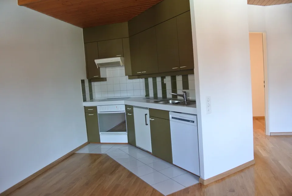 Maisonette-Dachwohnung bei Birs mit Sicht zum Rhein