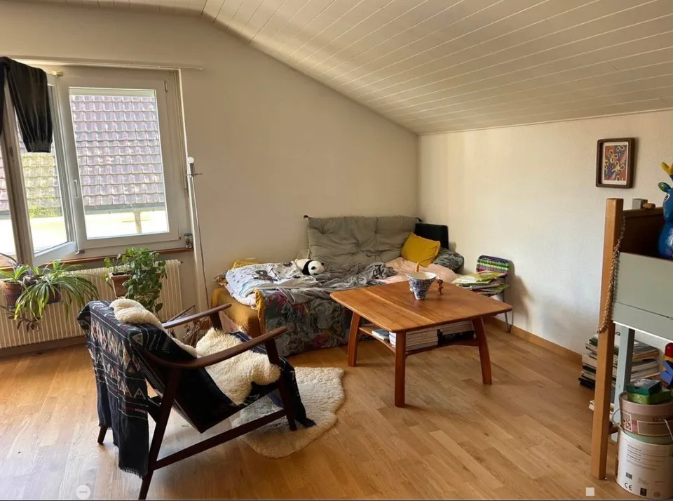 Appartement en mansarde lumineux de 1,5 pièces dans le quartier Linde populaire et calme