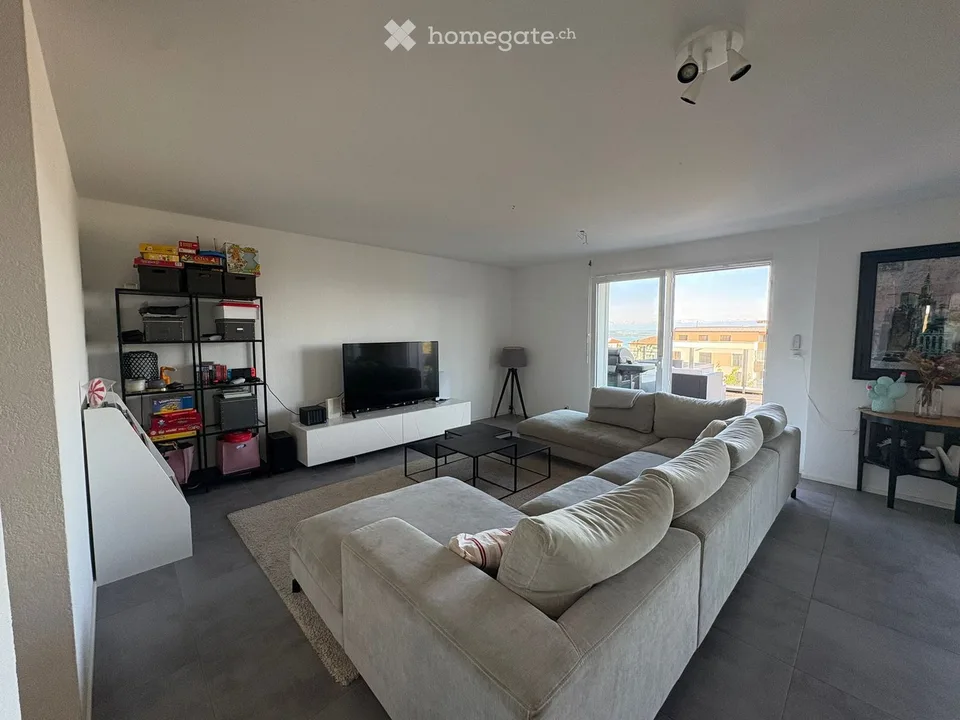 Magnifico duplex di 4,5 locali con terrazza e vista sul lago