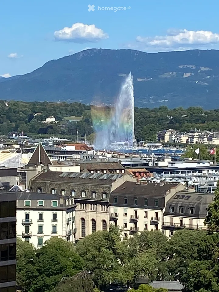 Breve o lungo termine - Bell'appartamento di lusso al 14° piano con vista panoramica su Ginevra