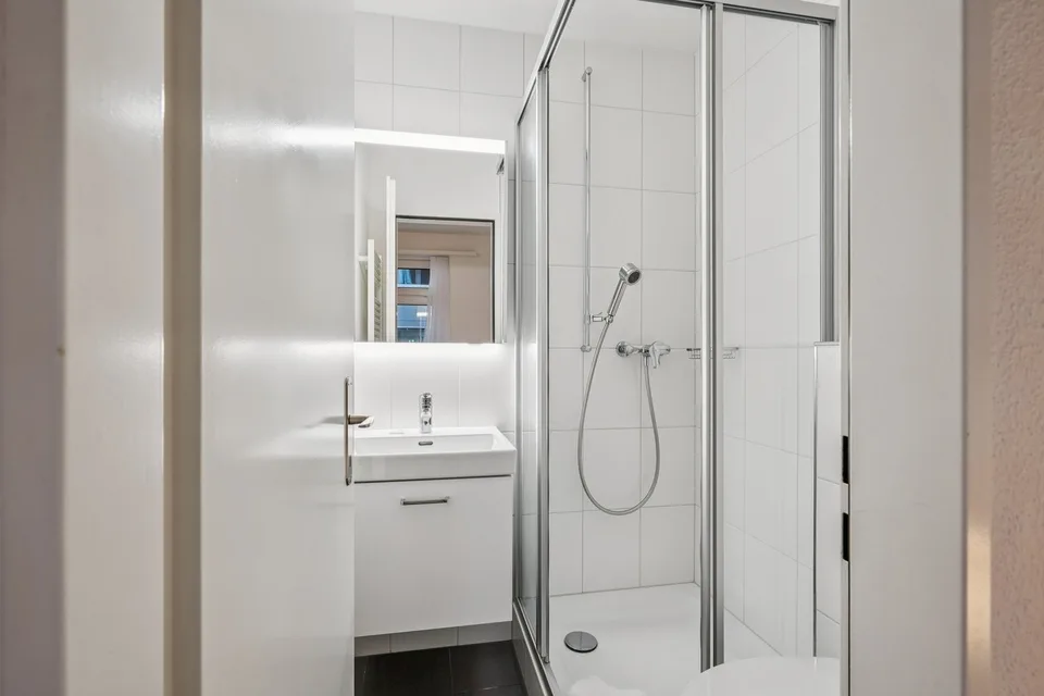 Studio meublé confortable dans un excellent emplacement à Zürich