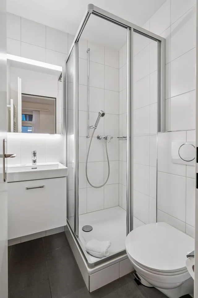 Studio meublé confortable dans un excellent emplacement à Zürich – photo 6 sur 13