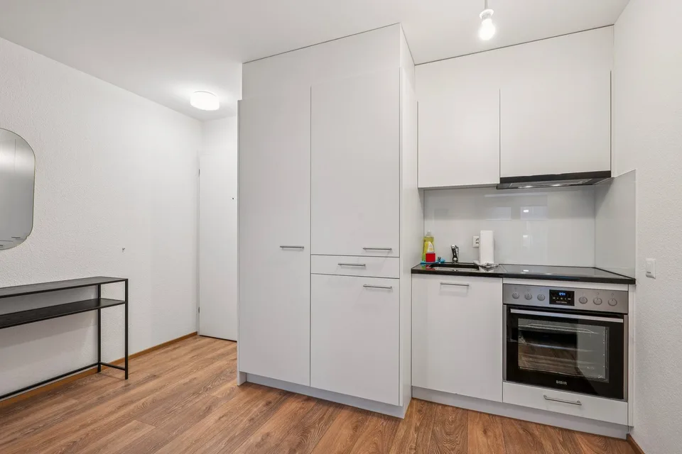 Studio meublé confortable dans un excellent emplacement à Zürich – photo 8 sur 13