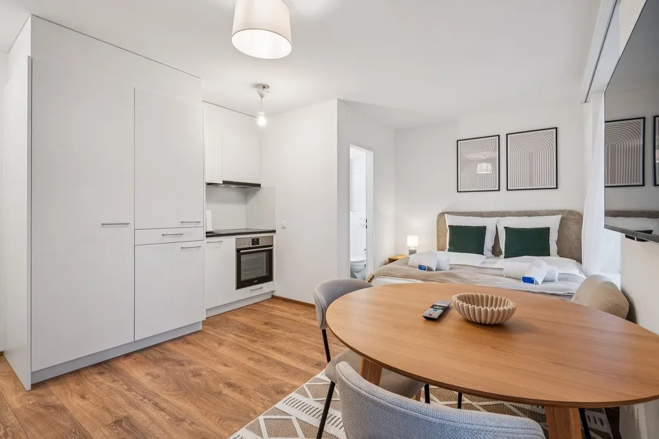 Studio meublé confortable dans un excellent emplacement à Zürich