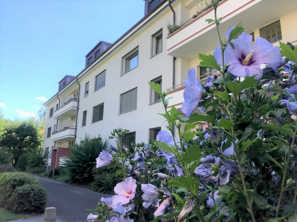 Moderne 4-Zimmerwohnung in Riehen