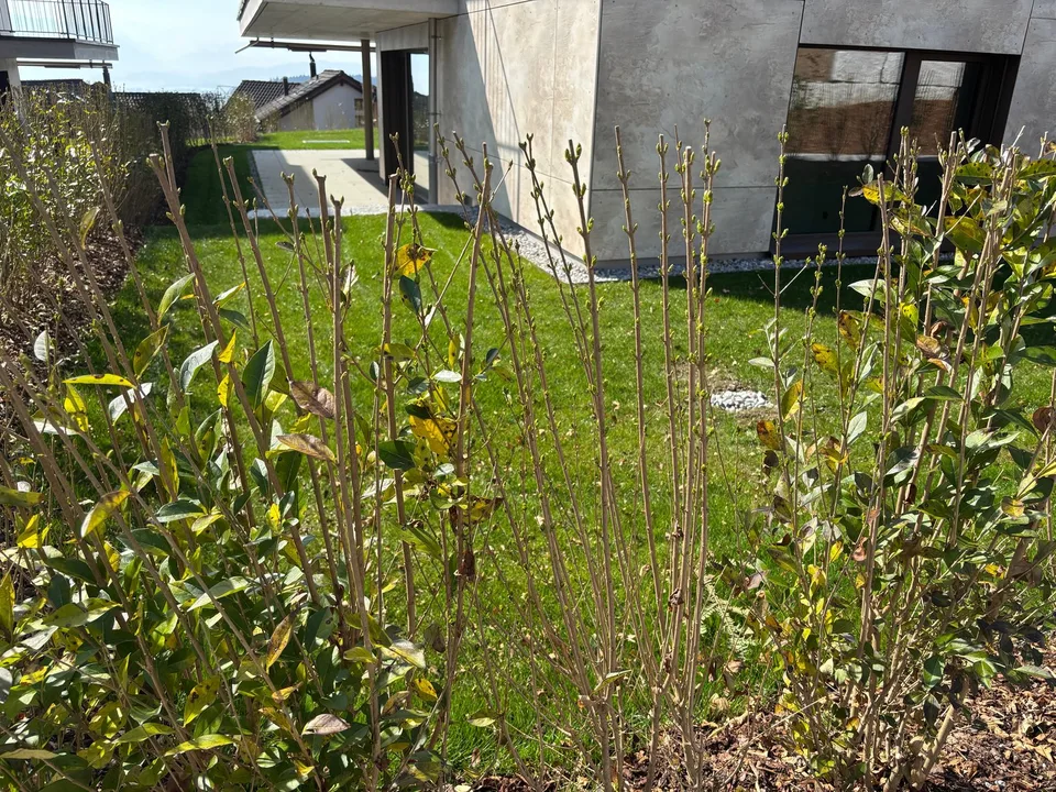 Neubau 3.5 Zimmer-Garten-Wohnung mit Garten und Blick auf den Zugersee – photo 13 of 20