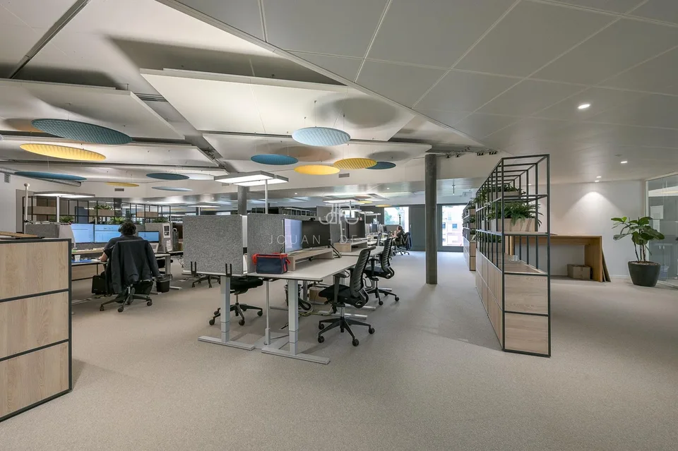 700 m2 di uffici in affitto in un edificio moderno