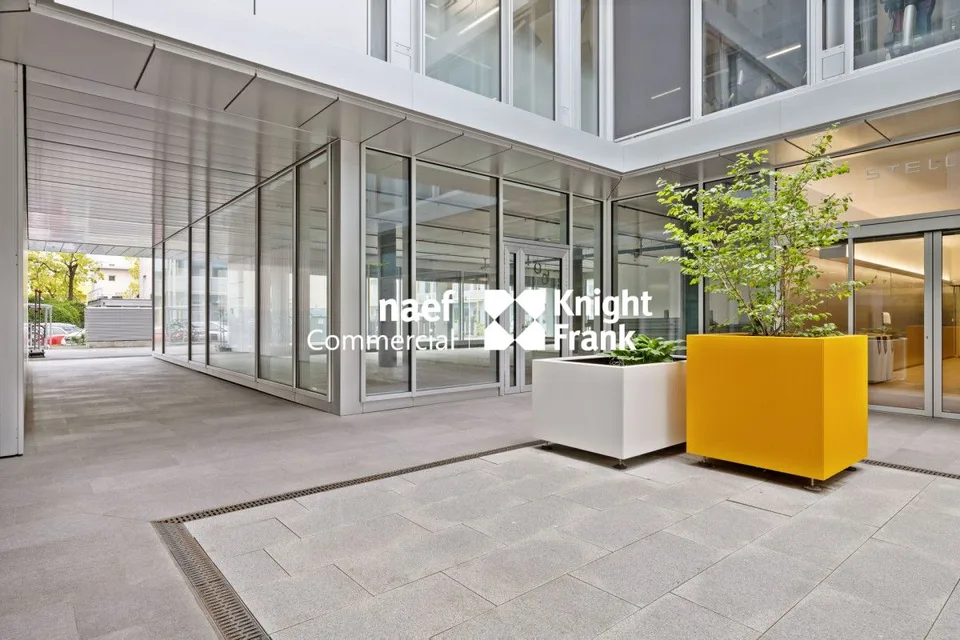Stellar 32 - Grande arcade d'env. 421 m² disponible !