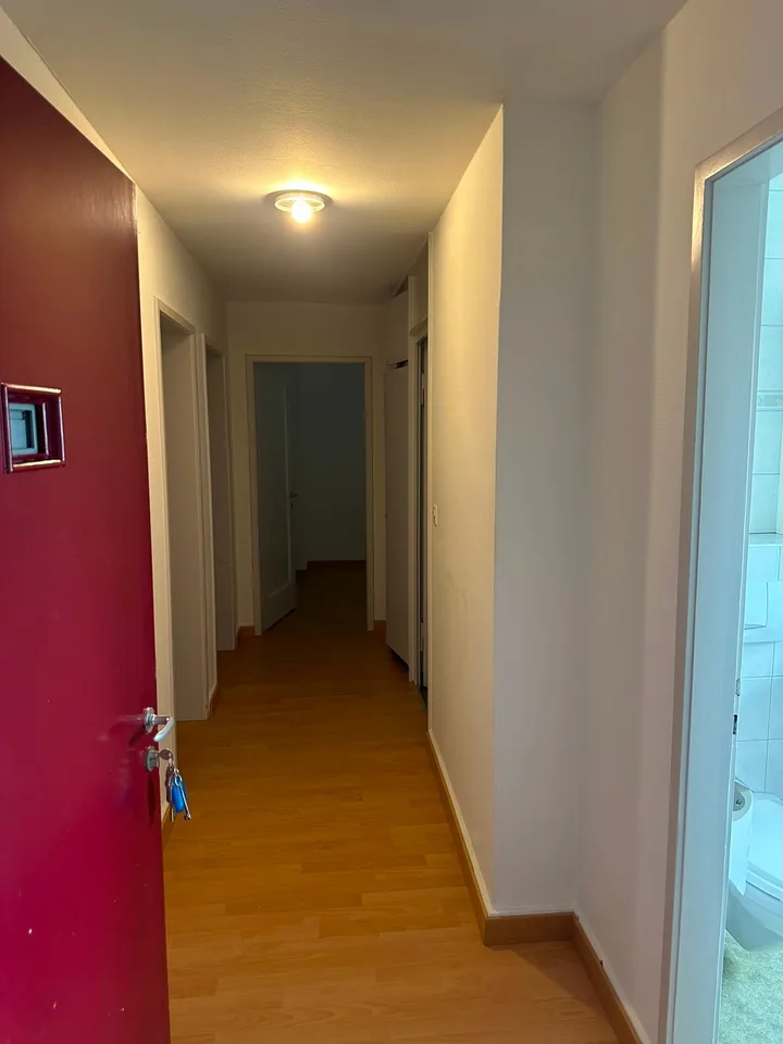 Charmante 3-Zimmer-Wohnung in ruhiger Lage von Rorschacherberg