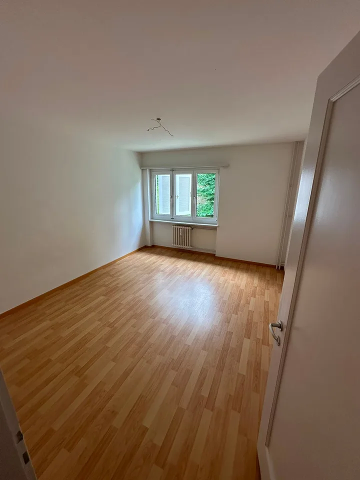Charmante 3-Zimmer-Wohnung in ruhiger Lage von Rorschacherberg