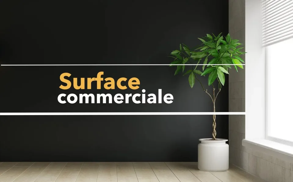 Île Falcon | Surface commerciale spacieuse avec vitrine