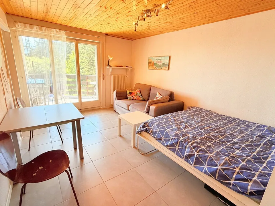 Spacieux et lumineux studio de 1.5 pièces - Très bien situé - Endroit très calme - Magnifique vue