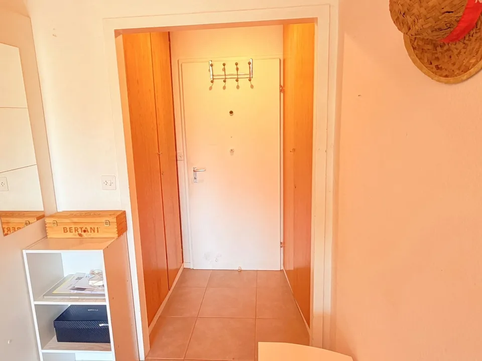 Ampio e luminoso studio di 1,5 locali - Molto ben situato - Zona molto tranquilla - Magnifica vista