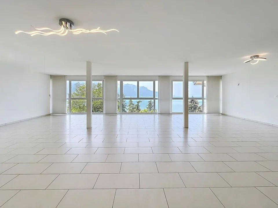 4,5 pces  - 165 m2 avec vue extraodrinaire