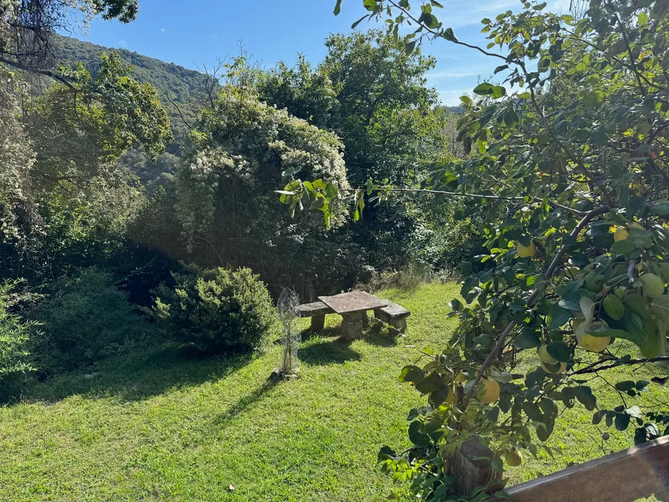 Komplett renoviertes Rustico in ruhiger und sonniger Südlage mit traumhaftem Seeblick – Foto 13 von 16