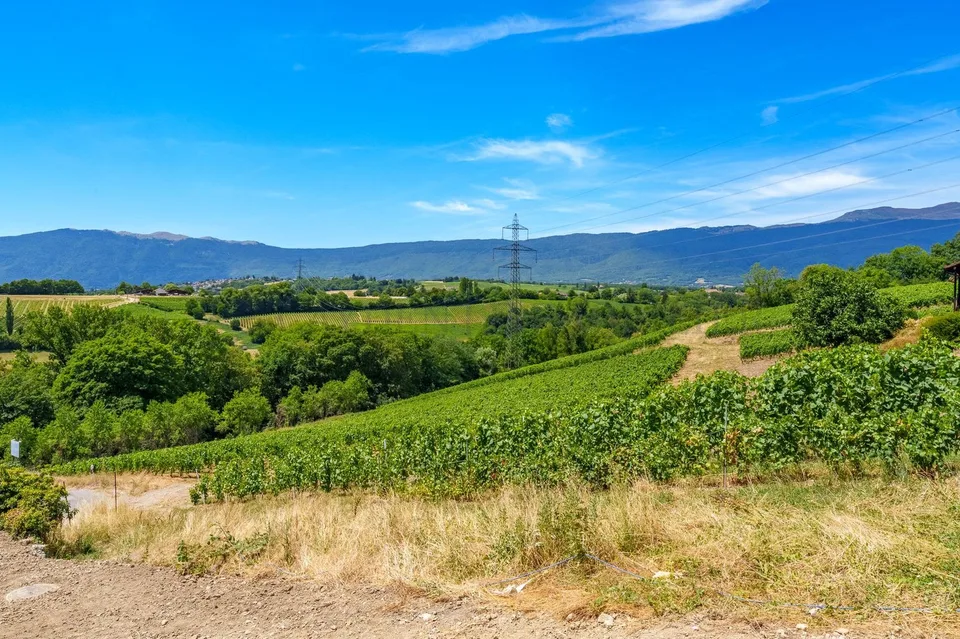 5 PIèces rez-de-jardin (Rez inférieur) - Lot 2.02