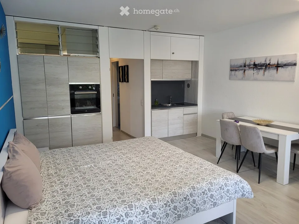 Bel appartement 2 pièces dans la Residenza Lago di Lugano - Bissone