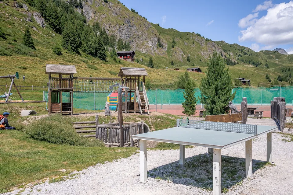 Charmant appartement 2.5 pièces avec vue de rêve à Riederalp – photo 28 sur 28