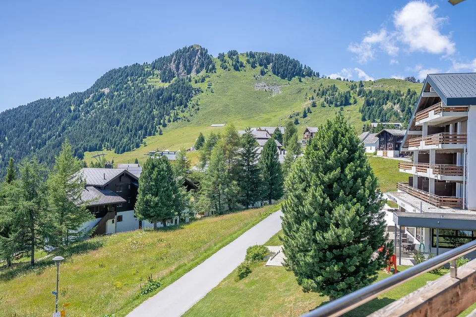 Charmant appartement 2.5 pièces avec vue de rêve à Riederalp – photo 11 sur 28