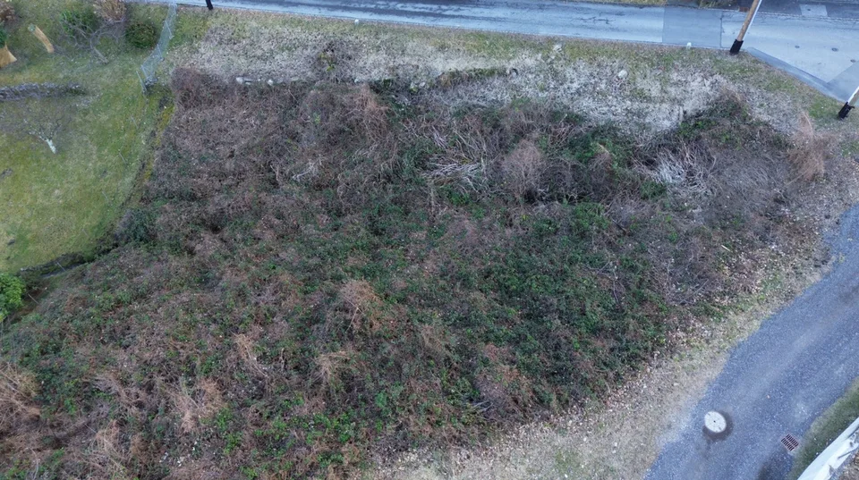 TERRENO EDIFICABILE MAGADINO