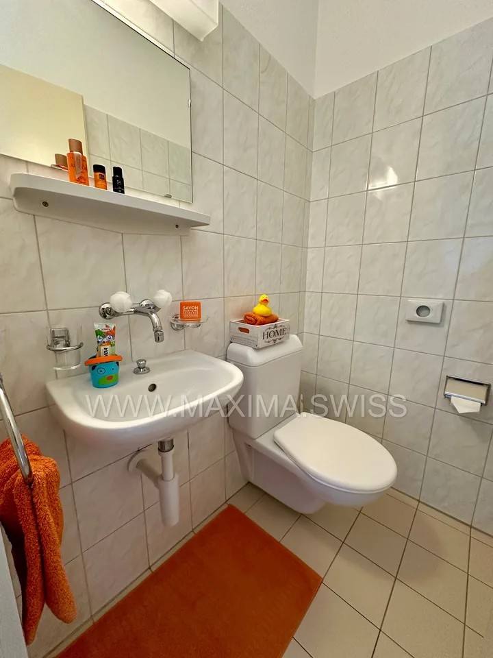 BIASCA: DERNIER APPARTMENT EN VENTE!