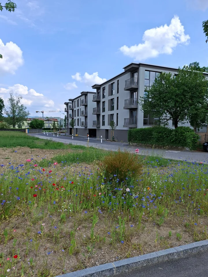 Stabio - NUOVI appartamenti - Possibilità Rent to buy – foto 6 di 6