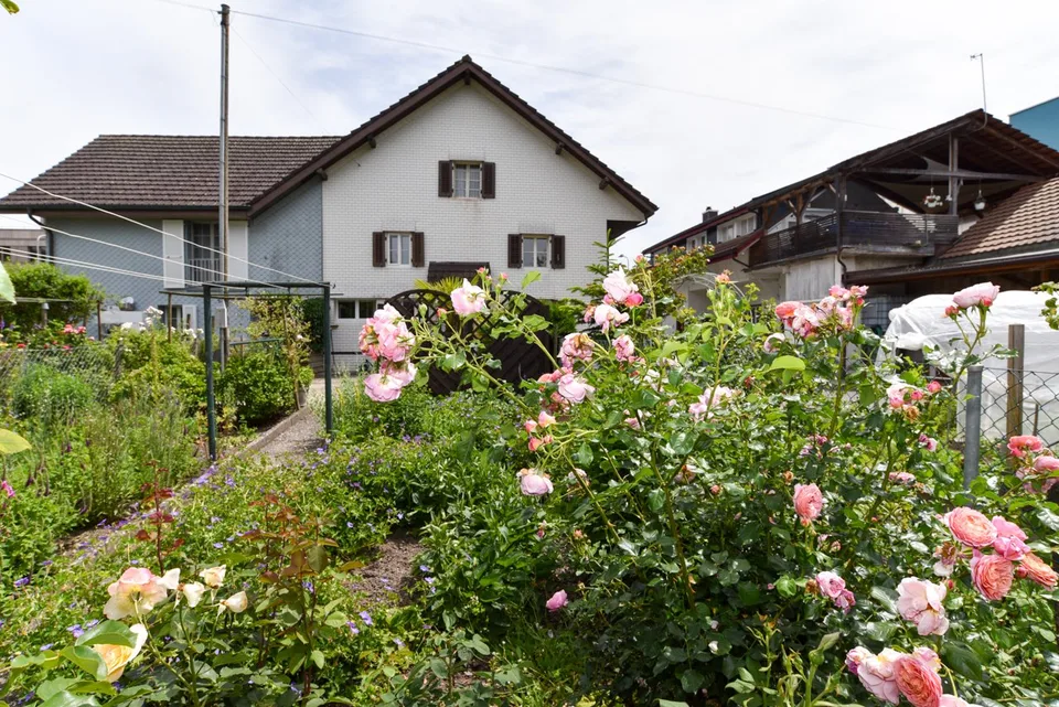 Preiswertes Haus zum Renovieren an zentraler Lage
