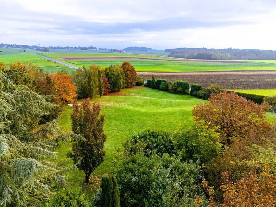 Elegantes Anwesen mit 7 Zimmern - Grundstück von 1'720 m² mit wunderschöner Bepflanzung – Foto 11 von 11