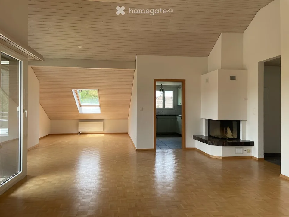 Appartement mansardé charmant avec cheminée et soleil du soir