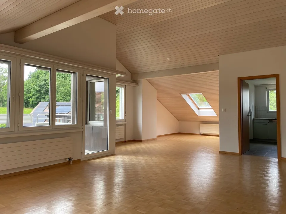 Appartement mansardé charmant avec cheminée et soleil du soir