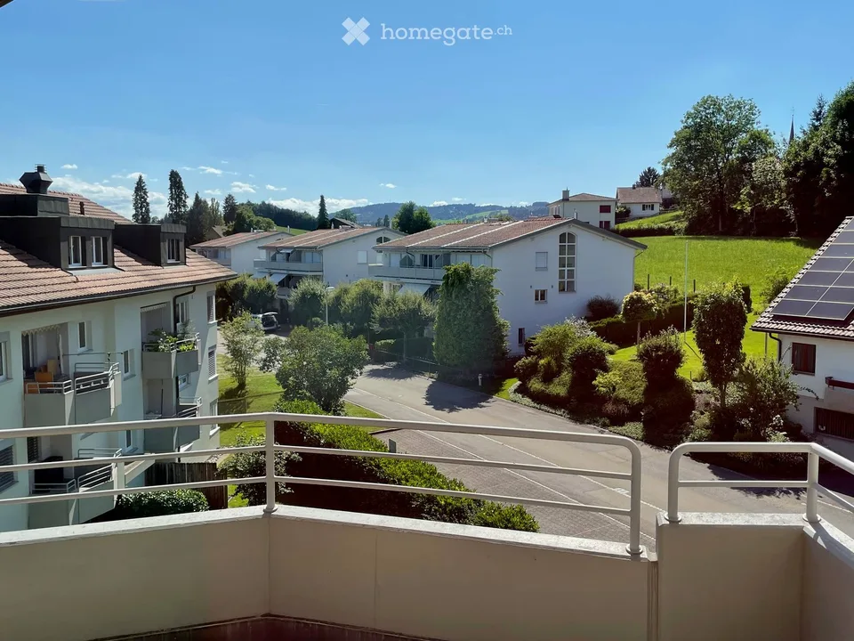 Appartement mansardé charmant avec cheminée et soleil du soir