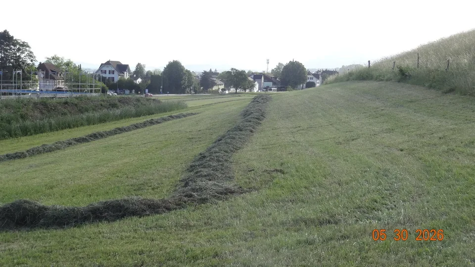 Commercial land with potential in top location in Langendorf – photo 7 of 8
