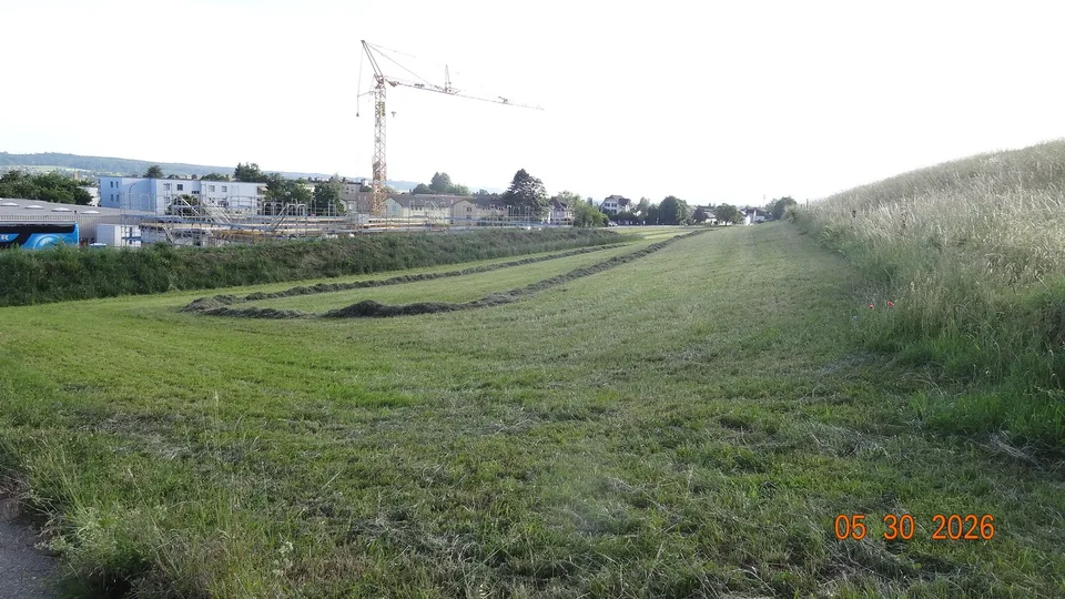 Commercial land with potential in top location in Langendorf – photo 6 of 8