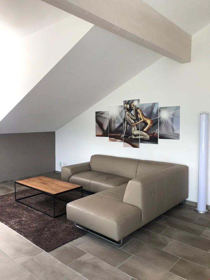 Meraviglioso attico in stile contemporaneo