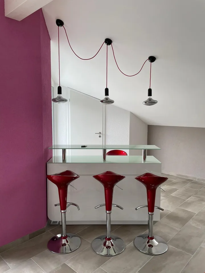 Meraviglioso attico in stile contemporaneo