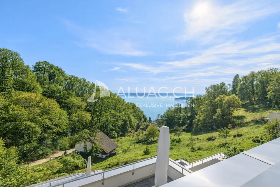 APPARTEMENT AVEC VUE IMPRENABLE SUR LE LAC – photo 11 sur 12