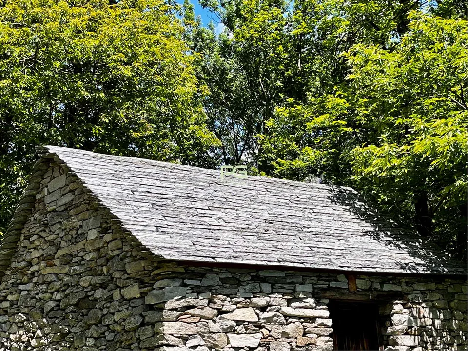 Monti di Lodrino - rustico in vendita