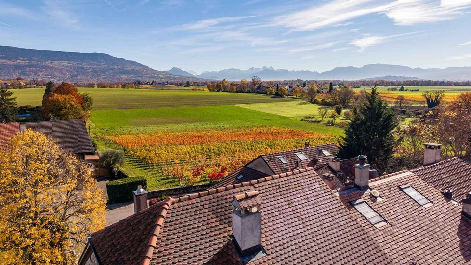 Proprietà di carattere con piscina e giardino – foto 12 di 12